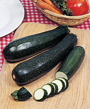 Black Beauty Zucchini